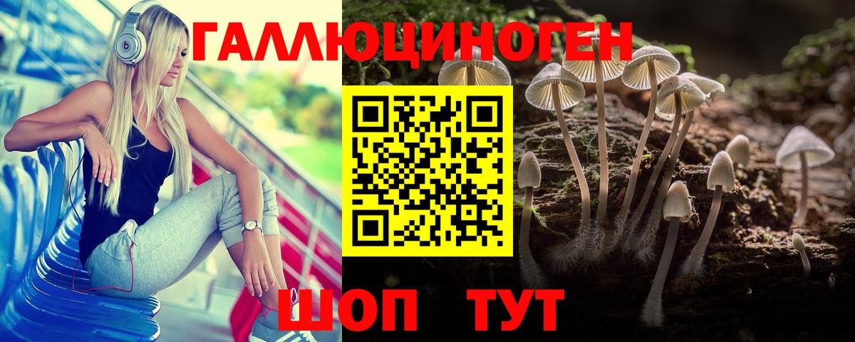 Новотроицк  Псилоцибиновые грибы GOLDEN TEACHER  Галлюциногенные грибы мицелий  Вход с VPN 