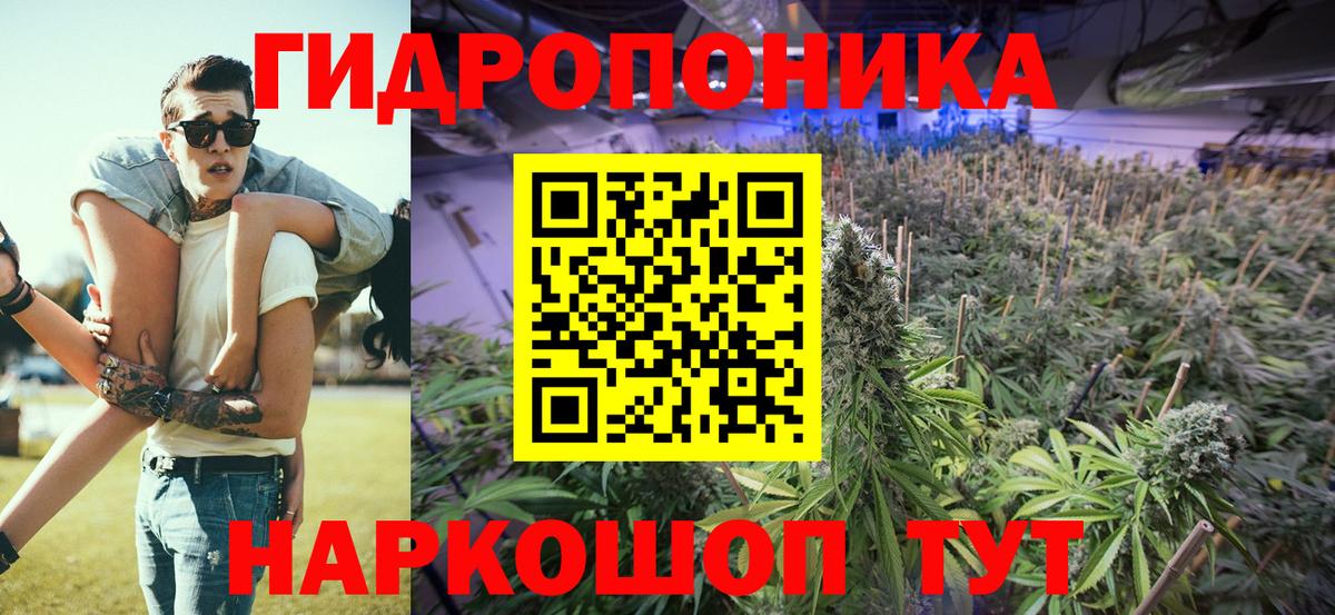 Бошки Шишки ГИДРОПОН Новотроицк